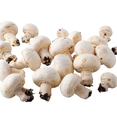 Шампиньоны свежие 500 г - купить в Боламыке